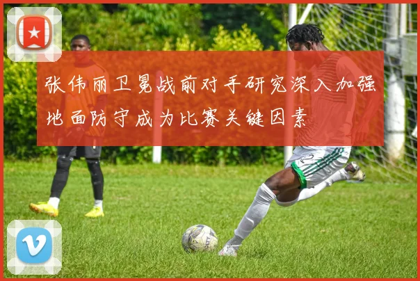 张伟丽卫冕战前对手研究深入加强地面防守成为比赛关键因素