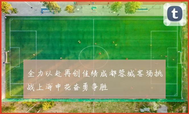 全力以赴再创佳绩成都蓉城客场挑战上海申花奋勇争胜